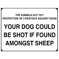 Your Dog could be shot if found amongst sheep sign