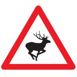 Wild Animals Road Sign