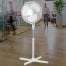 3 Speed 16 inch Pedestal Fan